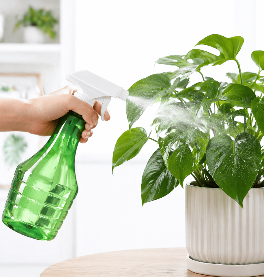 Çok Amaçlı Fısfıs Çiçek Sulama Şeffaf Su Sprey Şişesi 500 ML