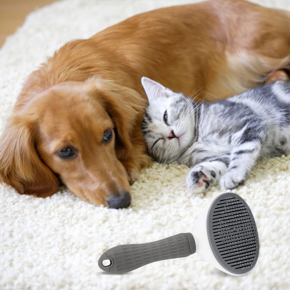 Kedi Köpek Tüy Toplayıcı  Pet Tarak 20 cm
